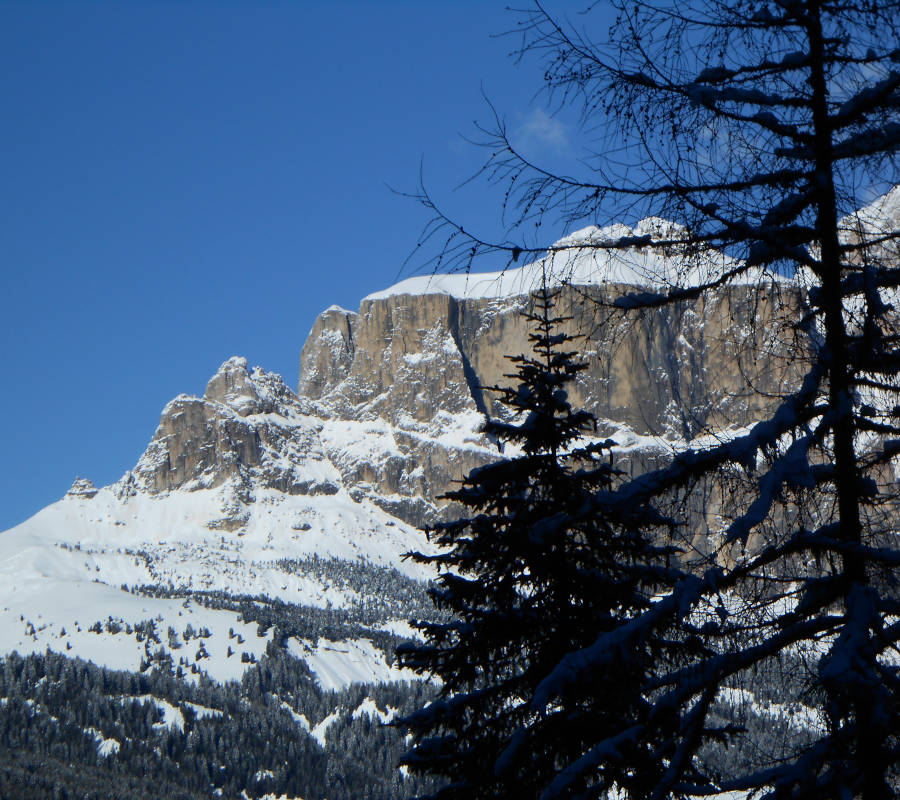 Peak Mountain Piumino Alpine 